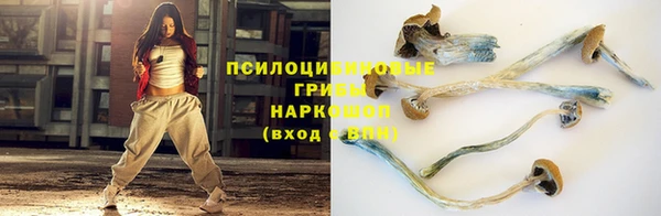 ешки Алексин