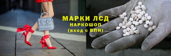 стаф Новокубанск