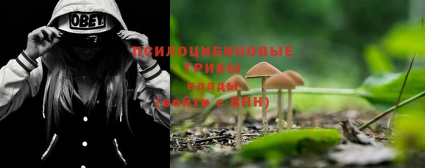 spice Новозыбков