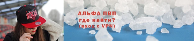 стаф Новокубанск