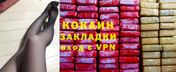 стаф Новокубанск