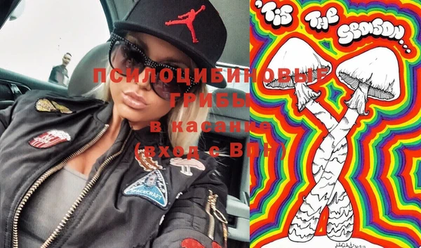 стаф Новокубанск