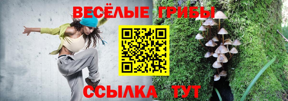 Псилоцибиновые грибы прущие грибы Светлоград