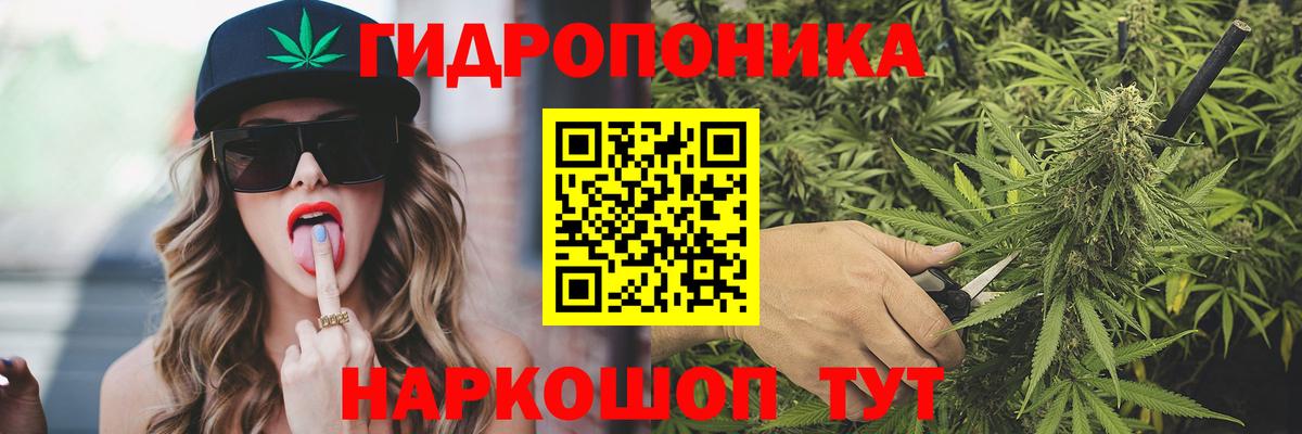 Бошки Шишки план  Вход с VPN  Бошки Шишки SATIVA & INDICA  Бошки марихуана LSD WEED  Светлоград 